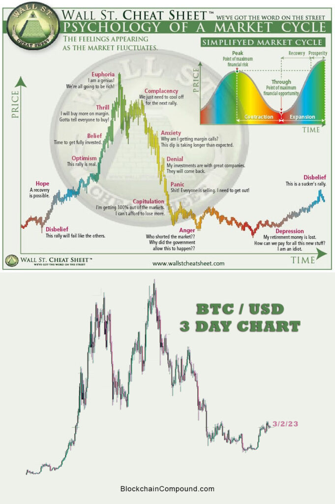 Market Cycle Compared to BTC